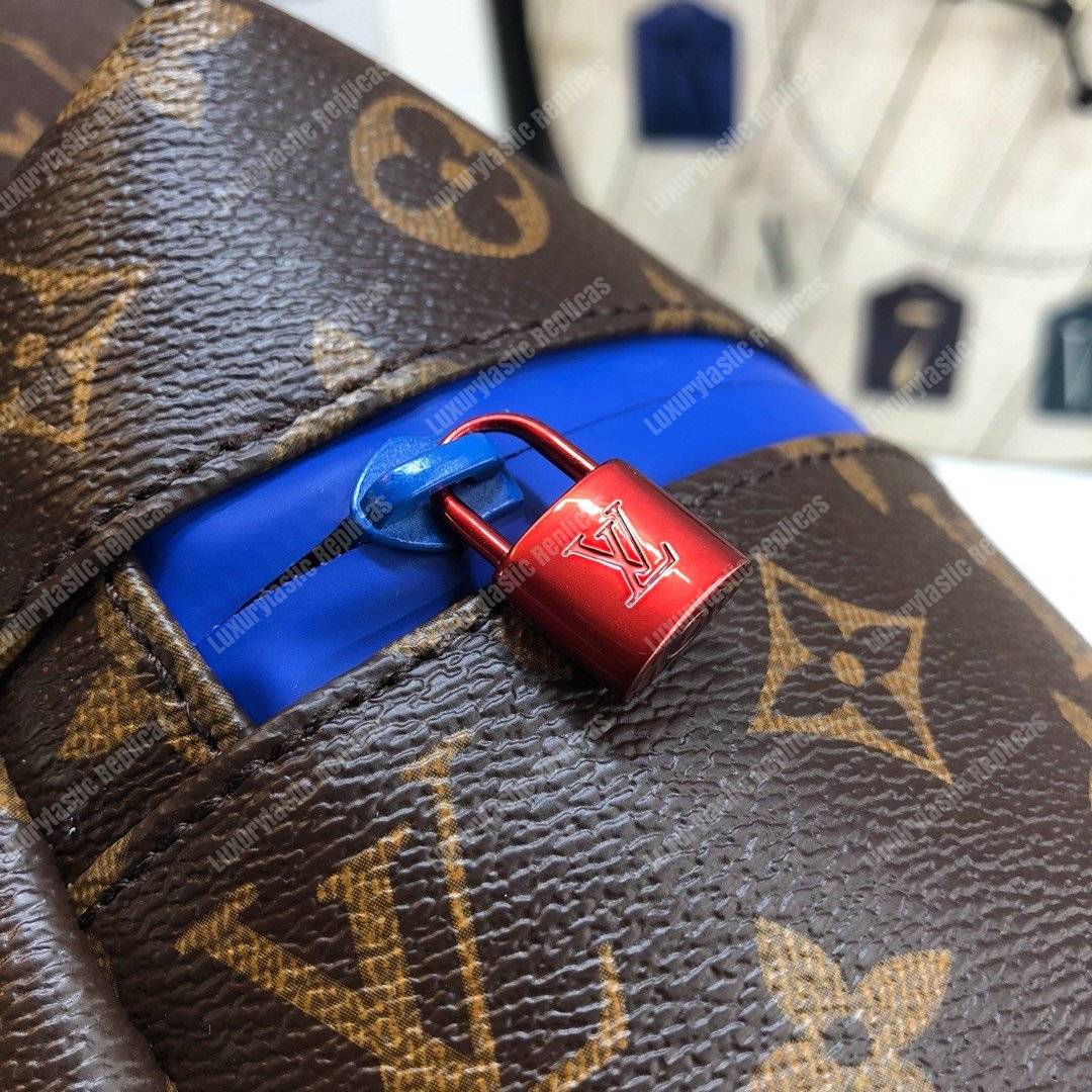 LV Apollo Backpack Brown