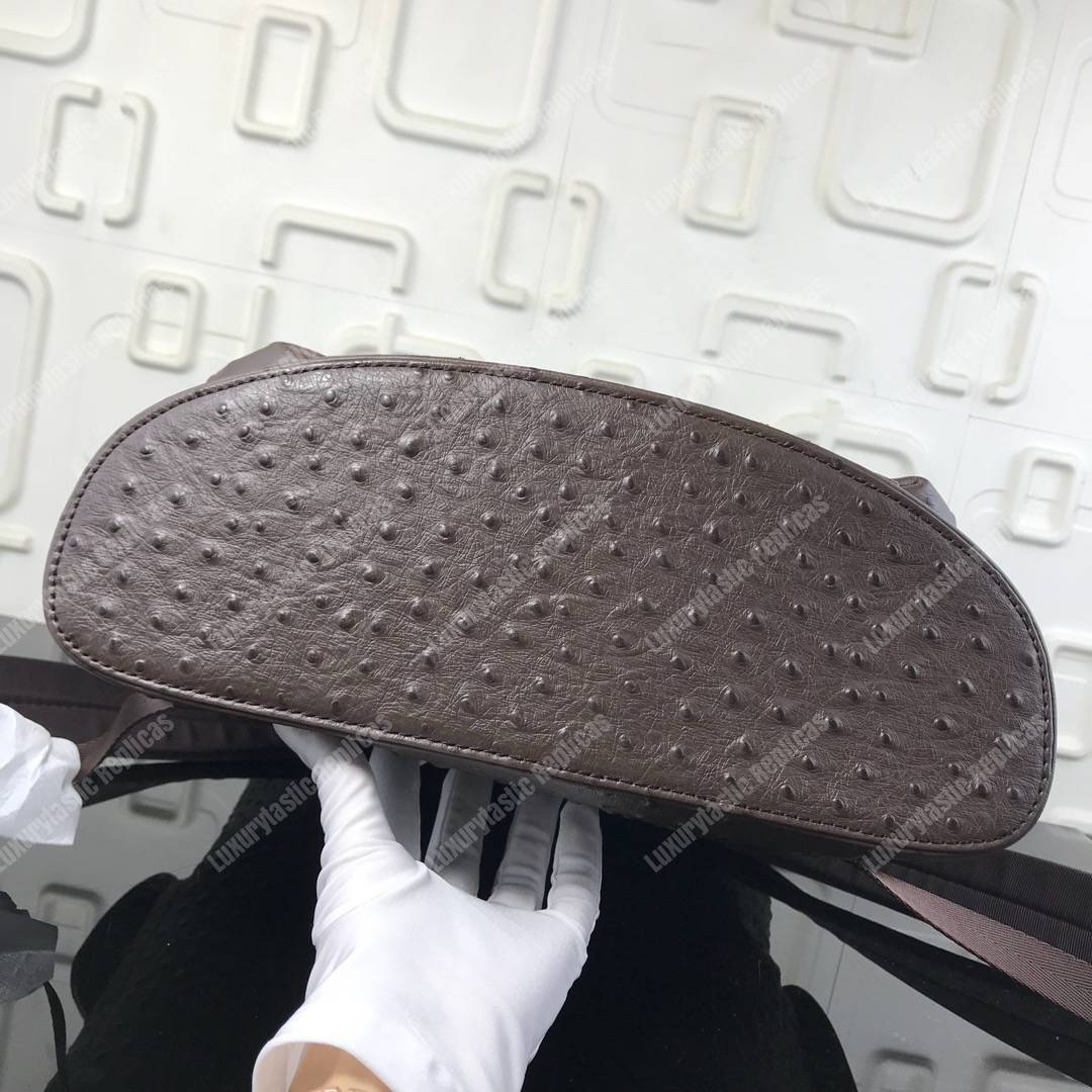 LV Christopher Backpack Autruche Brown