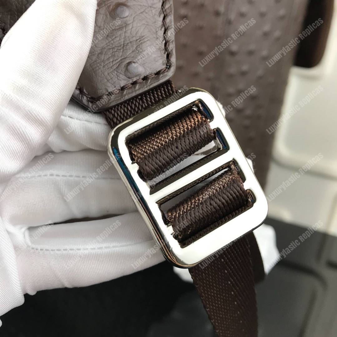 LV Christopher Backpack Autruche Brown