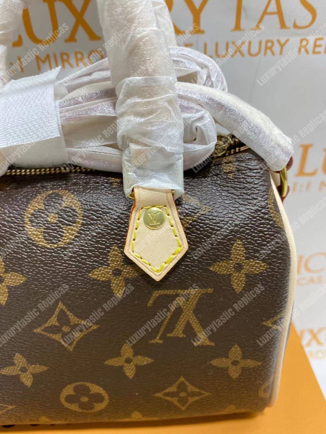 LV Nano Speedy Monogram