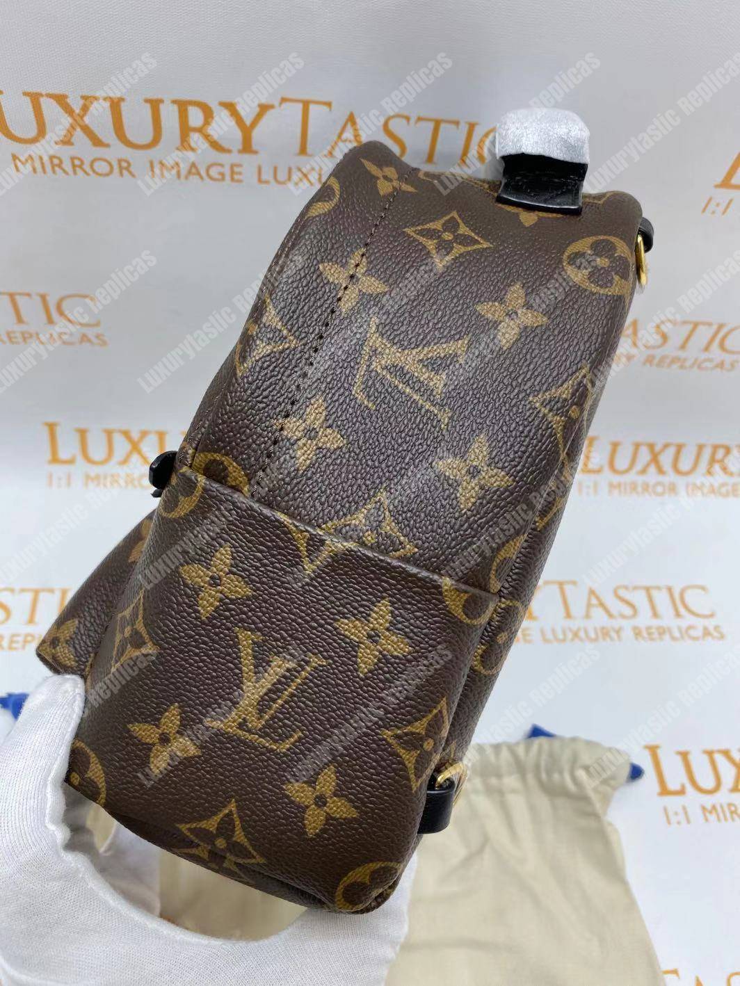 LV Palm Springs Backpack Mini Monogram