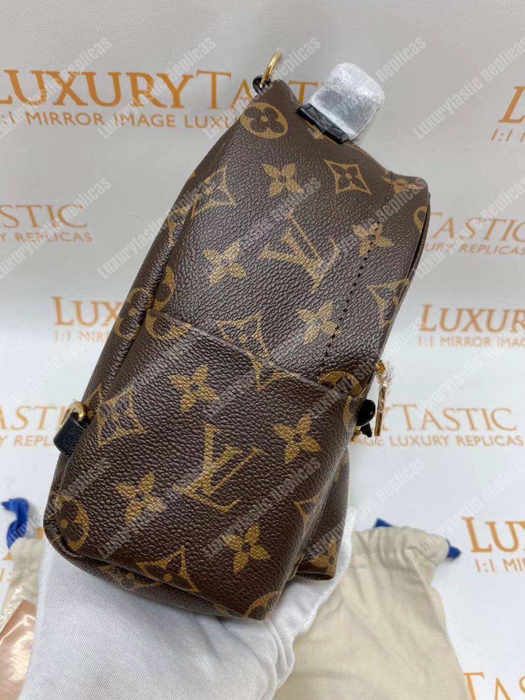 LV Palm Springs Backpack Mini Monogram