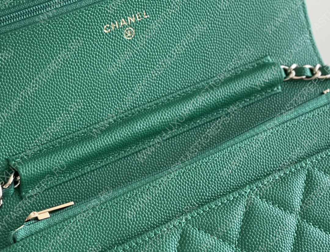 Ch*el classic wallet on chain green ap0250