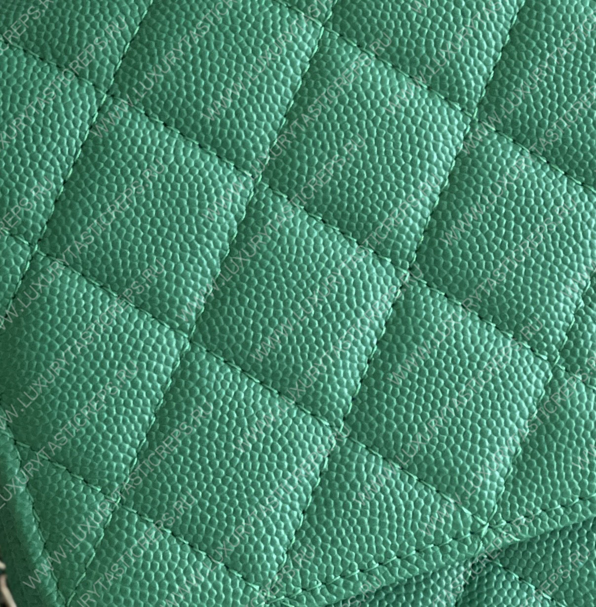 Ch*el classic wallet on chain green ap0250